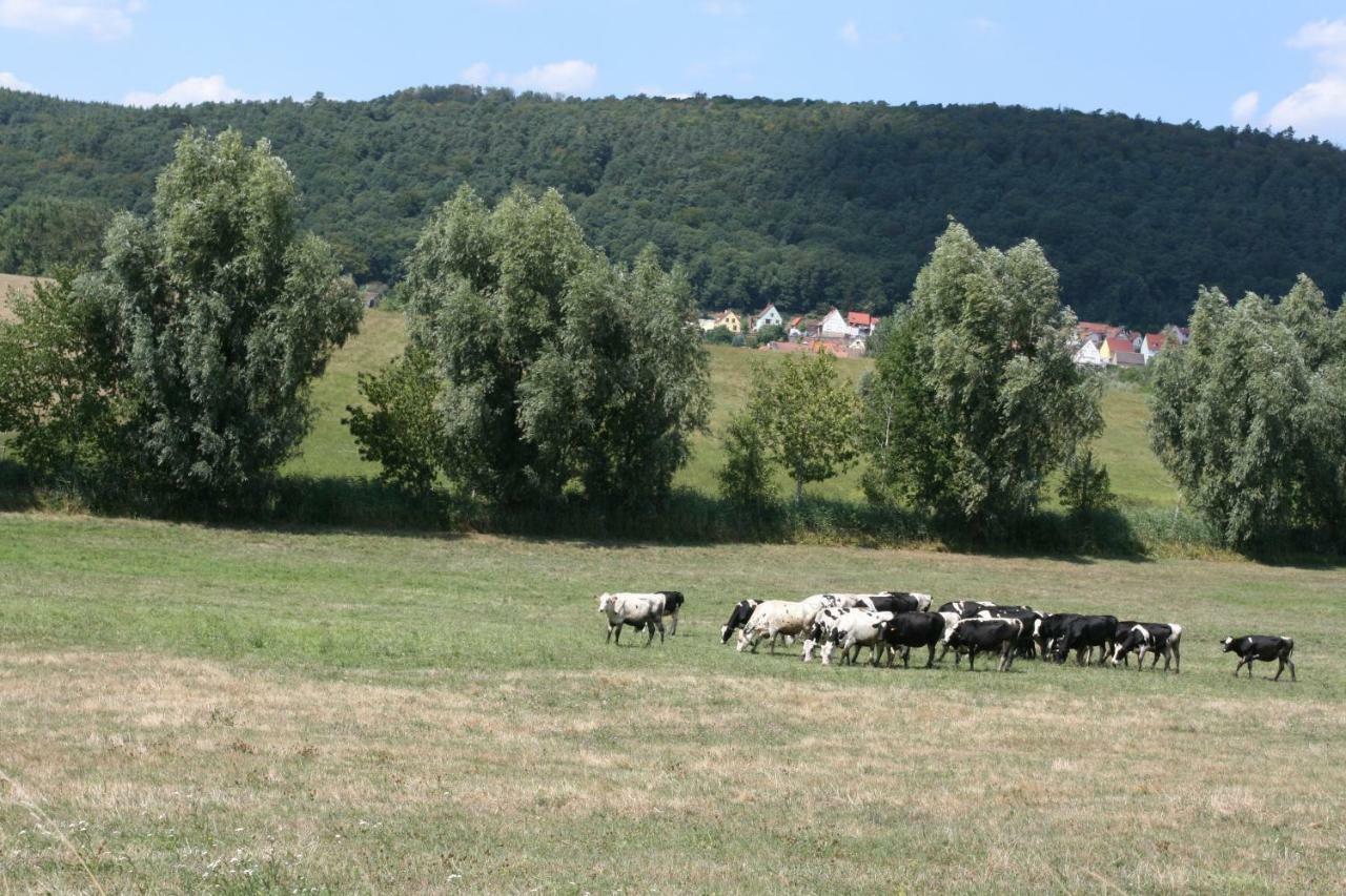La ferme de Georges Apt 1 à 6 pers Bischholtz Extérieur photo