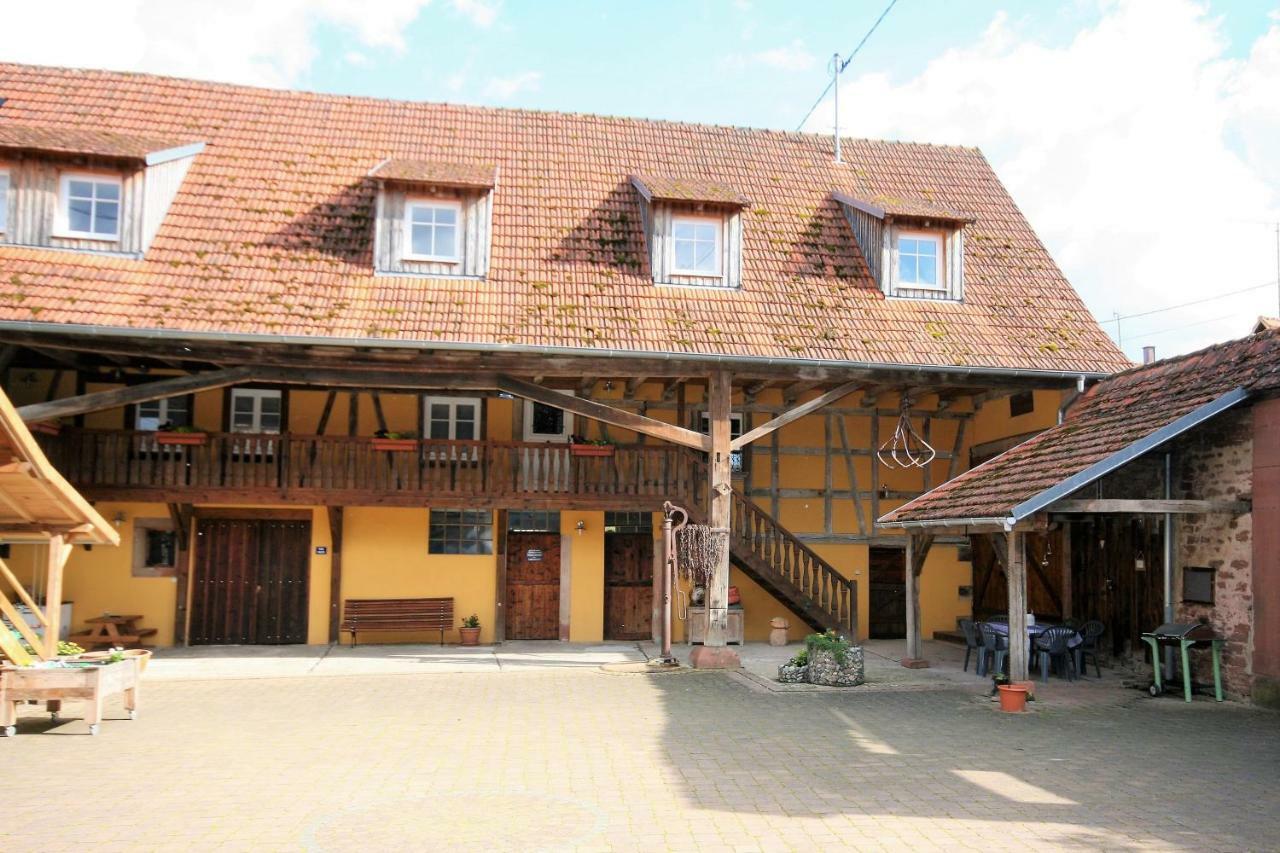 La ferme de Georges Apt 1 à 6 pers Bischholtz Extérieur photo